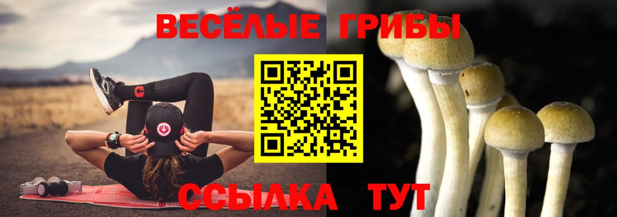 Псилоцибиновые грибы мицелий Сургут